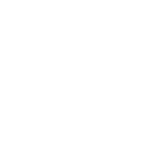 express-delivery (20)